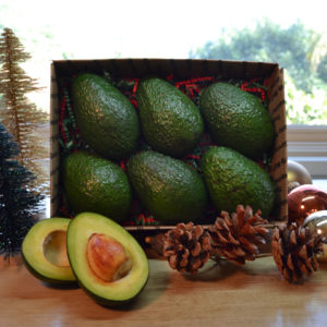 Green Christmas 6-pack rossi ranch avocados