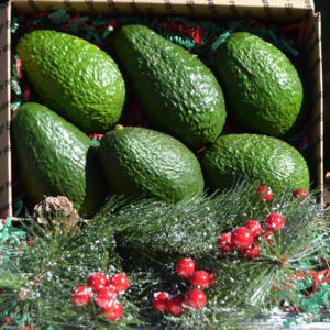 subscriptions avocados rossi ranch