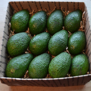 rossi ranch california hass avocados 12-pack