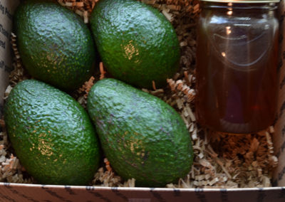 rossi ranch california hass avocados honey beehive